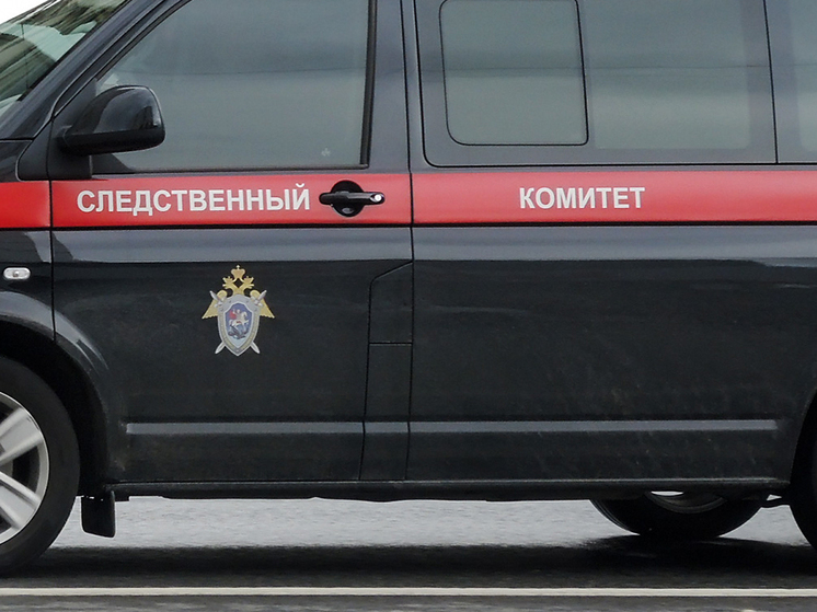 pljunul-v-lico-vyjasnilis-detali-zhestokogo-ubijstva-suprugov-v-moskve-cd46dfa