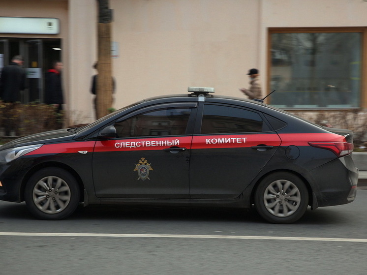 rossijanin-possorilsja-s-hozjajkoj-doma-i-zabil-ee-polenom-do-smerti-f405168.jpg