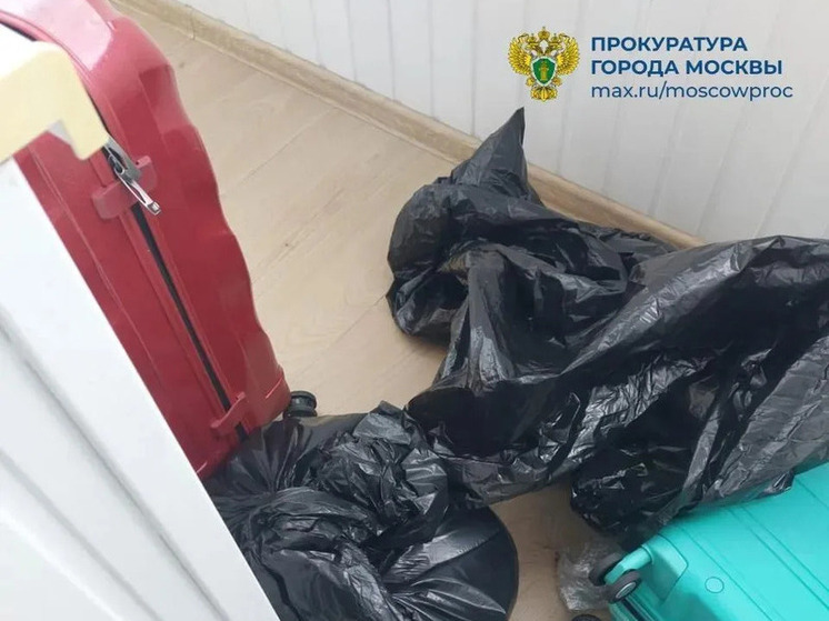 vmeste-s-moskvichkoj-najdennoj-raschlenennoj-v-kvartire-ubita-ee-doch-715263b.jpg