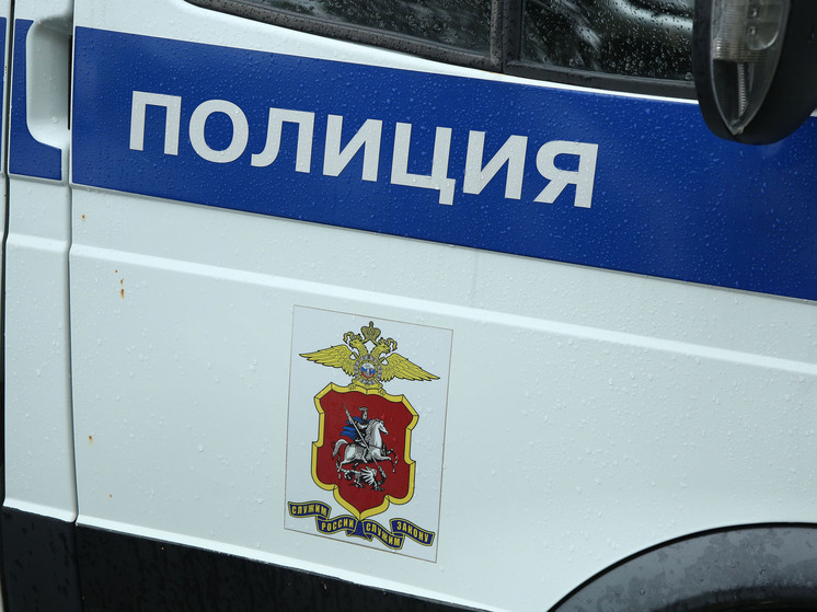 zhenshhina-vyrvavshaja-rebenka-iz-ruk-predpolagaemogo-pedofila-rasskazala-podrobnosti-bdc9e0e.jpg